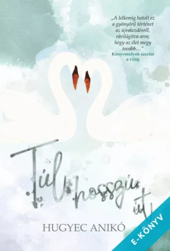 Hugyec Anikó - Túl hosszú út (ebook)