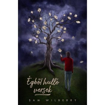 Sam Wilberry - Égből hulló versek (nyomtatott)