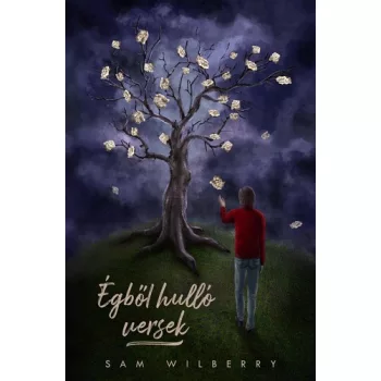 Sam Wilberry - Égből hulló versek (nyomtatott)