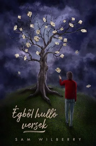 Sam Wilberry - Égből hulló versek (nyomtatott)