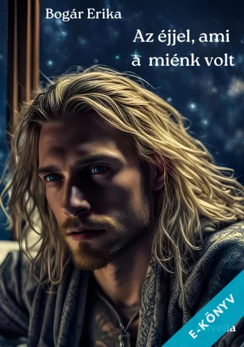 Bogár Erika - Az éjjel, ami a miénk volt (ebook)
