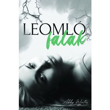 Abby Winter - Leomló falak (ebook)