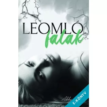 Abby Winter - Leomló falak (ebook)