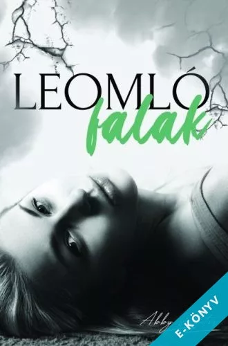 Abby Winter - Leomló falak (ebook)
