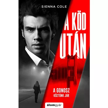 Sienna Cole - A köd után (nyomtatott)