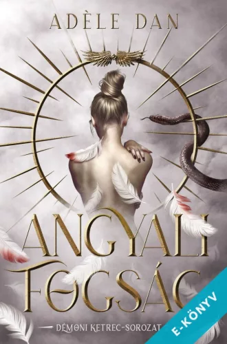 Adéle Dan - Angyali fogság (ebook)