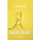 Dr. Jekkel Gabriella - Csendes gyilkos (nyomtatott)