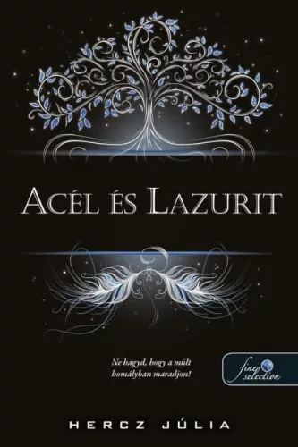 Hercz Júlia - Acél és lazurit (nyomtatott)
