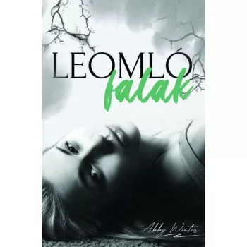 Abby Winter - Leomló falak (nyomtatott)