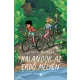 Fiala Borcsa - Kalandok az erdő mélyén (nyomtatott)