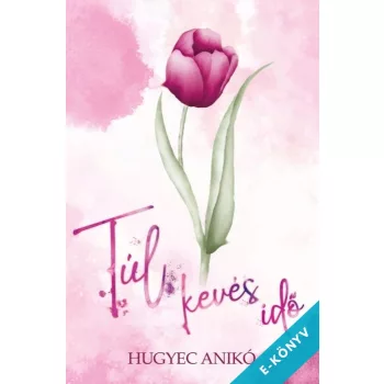 Hugyec Anikó - Túl kevés idő (ebook)