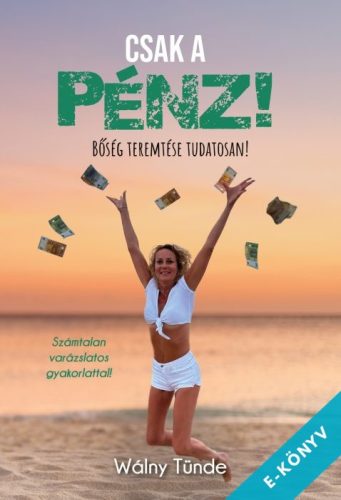 Walny Tünde - Csak a pénz! (ebook)