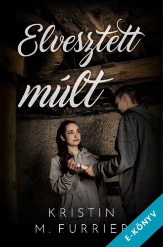 Kristin M. Furrier - Elvesztett múlt (ebook)