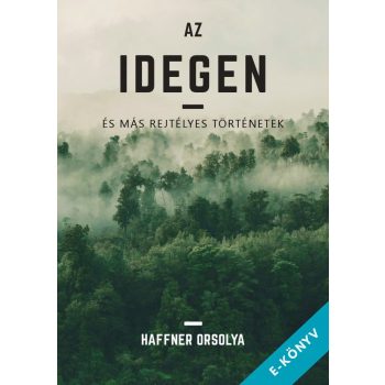 Haffner Orsolya - Az idegen (ebook)