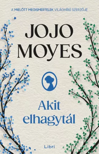 Jojo Moyes - Akit elhagytál