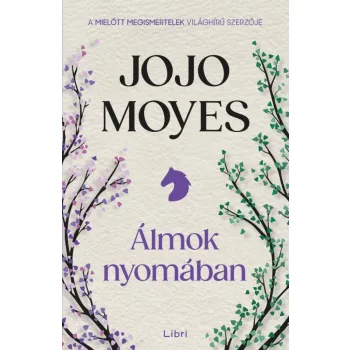 Jojo Moyes - Álmok nyomában