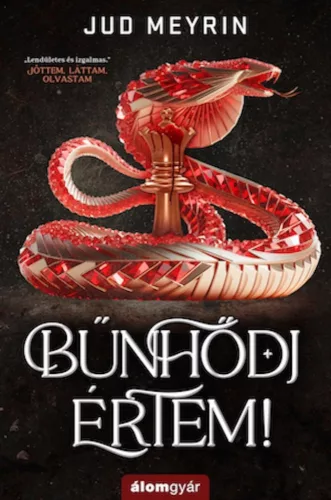 Jud Meyrin - Bűnhődj értem!