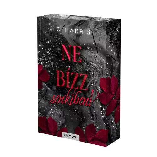 P. C. Harris - Ne bízz senkiben! - Ne nézz vissza 2. 